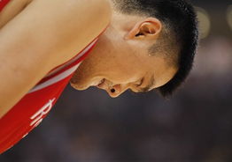 nba中国赛火箭战篮网 姚明歇息