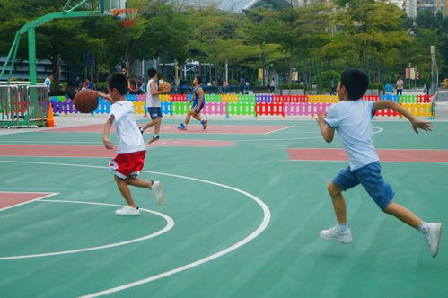 你好姚明 再见科比 18年后nba与中国篮球寻找全明星